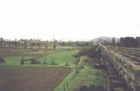 /album/coelemu/puente8-jpg/