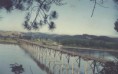 /album/fotogaleria/rioita22-jpg/